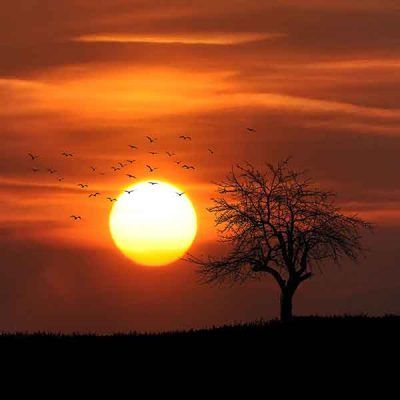 Thunumerology observatorio- El Sol y el ahora. El karma del presente
